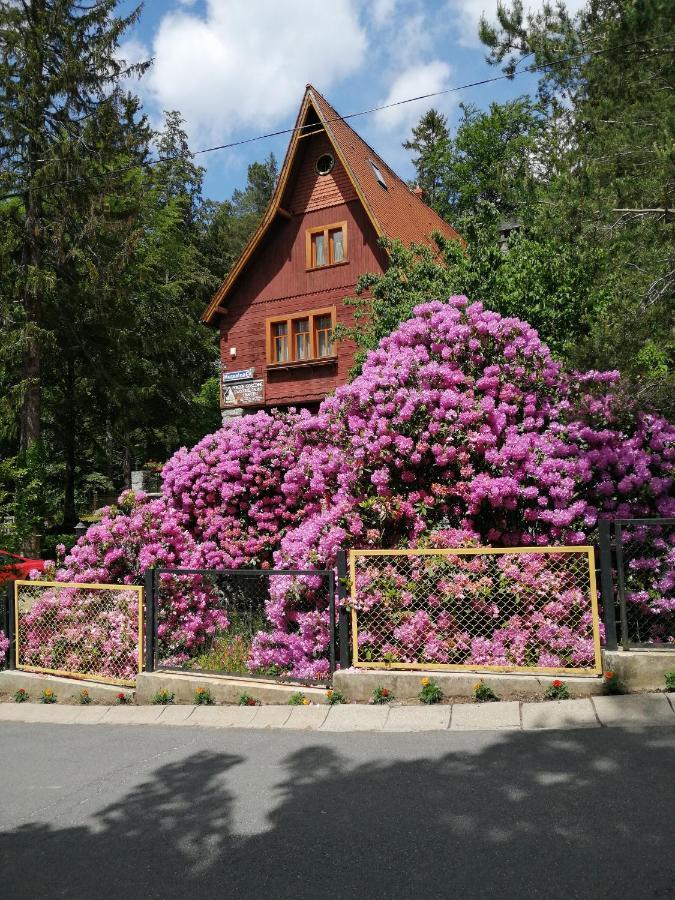 Willa W Dolinie Hotel Szklarska Poreba Exterior photo